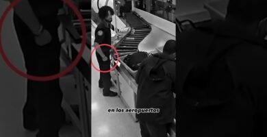 Diferencias legales entre silla de auto y normativa europea en viajes largos