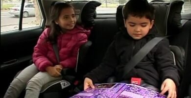 Cómo elegir legalmente una requisitos legales para sillas de auto y la normativa de tránsito