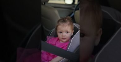 Qué revisar para cumplir la ley con sillas homologadas para vehículos y la homologación exigida