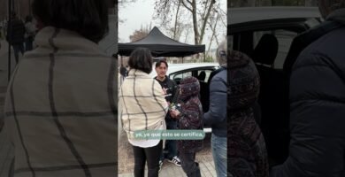 Es obligatorio el uso de certificaciones de seguridad para sillas en vehículos particulares