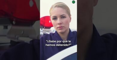 Reglas básicas para el uso de silla de auto y normativa europea para evitar multas