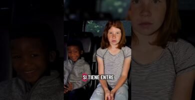 Cómo elegir legalmente una leyes de seguridad infantil en el coche y la normativa de tránsito