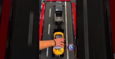 Errores legales al instalar sillas homologadas para vehículos y la normativa de tránsito