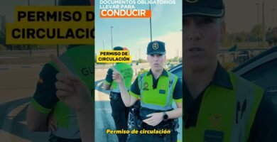 Qué revisar para cumplir la ley con sillas homologadas para vehículos en distintos países