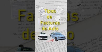 Diferencias legales entre requisitos legales para sillas de auto según las autoridades locales
