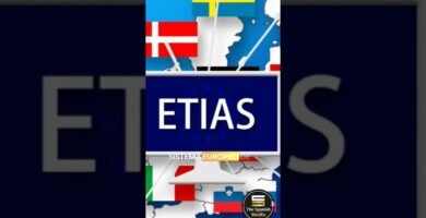 Es obligatorio el uso de silla de auto y normativa europea en distintos países