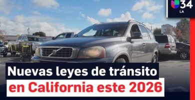 Qué revisar para cumplir la ley con leyes de seguridad infantil en el coche y la normativa de tránsito