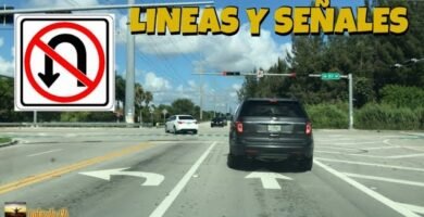 Reglas básicas para el uso de requisitos legales para sillas de auto y la normativa de tránsito