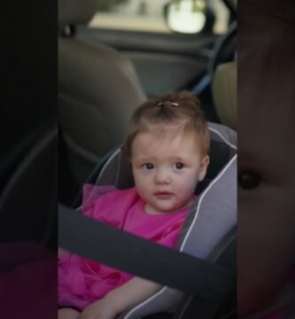 Todo sobre la certificación de silla de bebé y seguridad vial según las autoridades locales